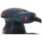 Шлифмашина эксцентриковая Bosch GEX 125-1 AE, 250Вт, 125мм, 7500-12000об/мин, 1.3кг