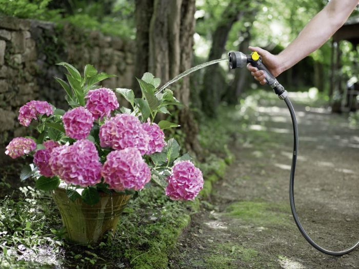 Шланг садовий Karcher Performance Premium 1/2" 50м 3 шари до 50бар -20…+60°C