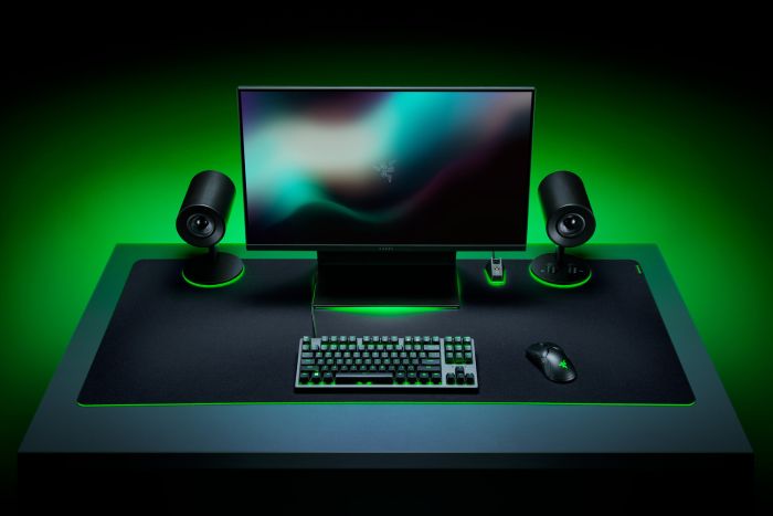 Ігрова поверхня Razer Gigantus V2, 3XL (1200x550x4мм), чорний