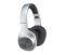 Навушники Panasonic RB-HX220BEE Over-ear Wireless Mic Сільвер