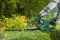 Кущоріз Bosch EasyHedgeCut 45 420Вт 45см крок різу 16мм 2.6кг