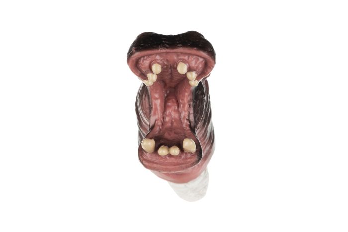 Игровой набор Same Toy Пальчиковый театр Бегемот и Лев, 2ед.