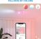 Светильник точечный накладной умный WiZ IMAGEO Spots, 3х5W, 2200-6500K, RGB, Wi-Fi, белый