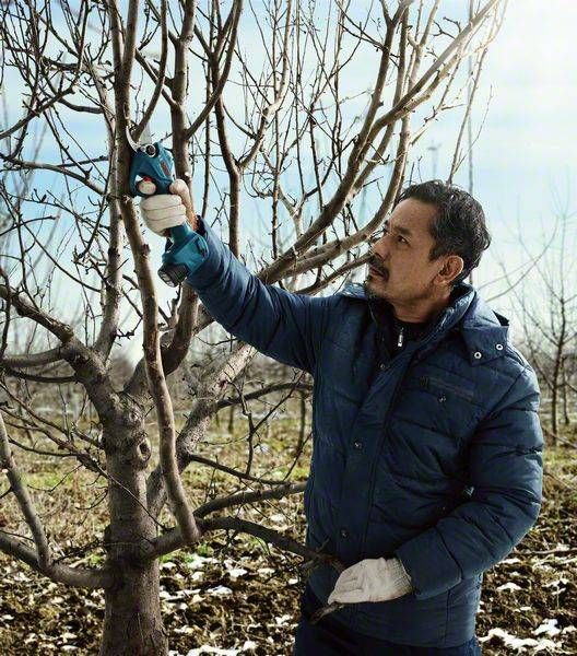 Секатор акумуляторний Bosch Professional Pruner, 12В, D різу 25мм, 1000гр, без АКБ та ЗП