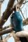 Секатор акумуляторний Bosch Professional Pruner, 12В, 2х3А·год, D різу 25мм, 1000гр