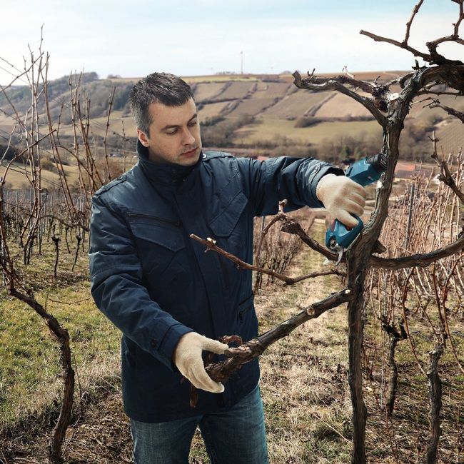 Секатор акумуляторний Bosch Professional Pruner, 12В, 2х3А·год, D різу 25мм, 1000гр