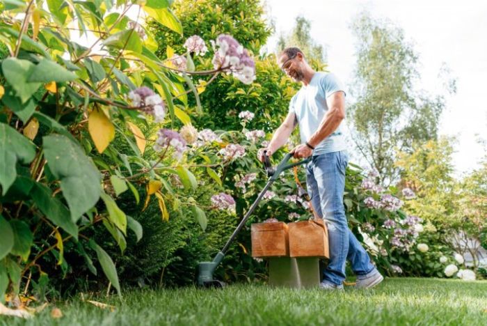 Триммер садовый Bosch EasyGrassCut 26, 280Вт, 26см, 1.9кг