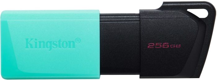 Накопитель Kingston  256GB USB 3.2 Type-A Gen1 DT Exodia M