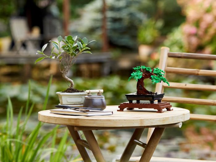 Конструктор LEGO Creator Expert Botanicals Дерево бонсай