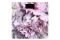 Весы Ardesto напольные Peonies, 150кг, AAAx2 в компл, стекло, многоцветные