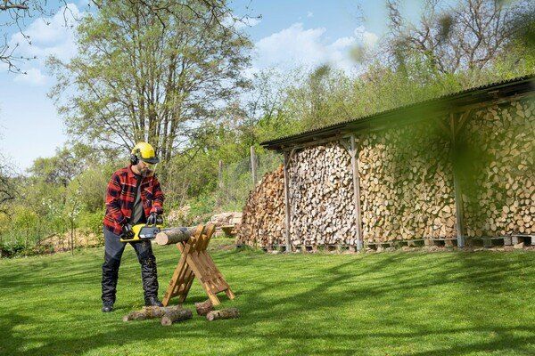 Комплект пила цепная аккумуляторная Karcher CNS 18-30 Battery, шина 30 см, 18В 5Ач, быстрозарядный комплект, 3.2 кг