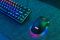 Мышь 2E GAMING MG350 WL, RGB, USB-A/WL, чёрный