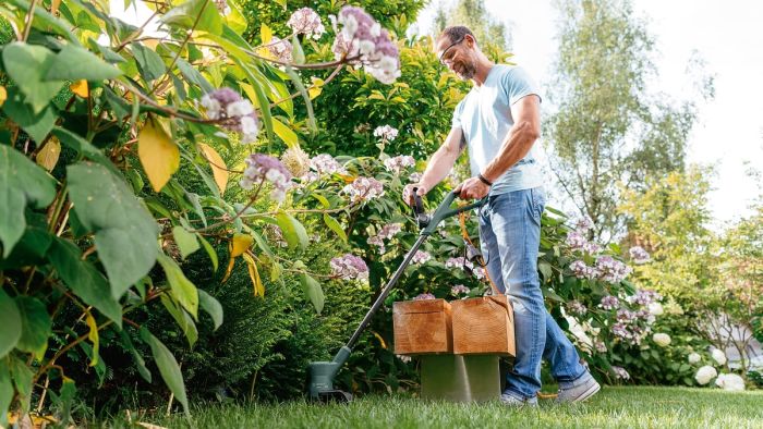 Триммер садовый Bosch EasyGrassCut 23, 280Вт, 23см, 1.9кг