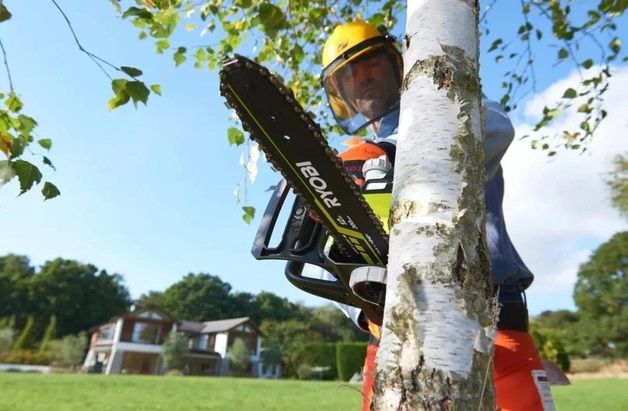 Пила ланцюгова акумуляторна Ryobi ONE+ RCS1830-140B 18В акб 1х4А·год ЗП 30см 3.2кг
