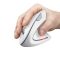 Миша Trust Verto Ergonomic, WL, білий