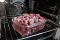 Плита Gorenje комби, 62л, 50x60см, дисплей, IconLed,эмалированные, черный