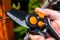 Секатор контактний Neo Tools, d різу 18мм, 200мм, 240г