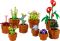 Конструктор LEGO Icons Botanicals Маленькі квіти