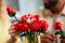 Конструктор LEGO Icons Botanicals Букет роз