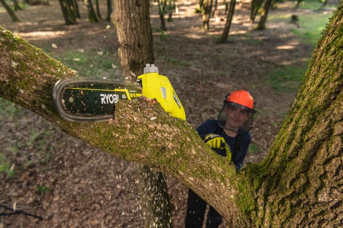 Висоторіз ланцюговий акумуляторний Ryobi Max Power RY36PP25A-0 36В 25см 3м 4.3кг без АКБ та ЗП
