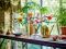 Конструктор LEGO Icons Botanicals Цвет вишни