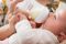 Соска Avent Natural 6міс+, силіконова, Природний потік, швидкий потік, 2шт