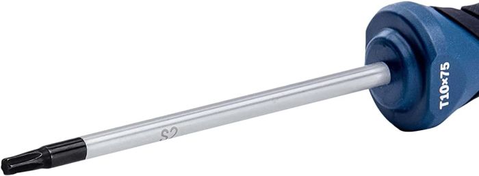 Викрутка Bosch Professional Torx T10x75мм