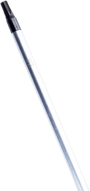 Викрутка Bosch Professional Torx T20x100мм