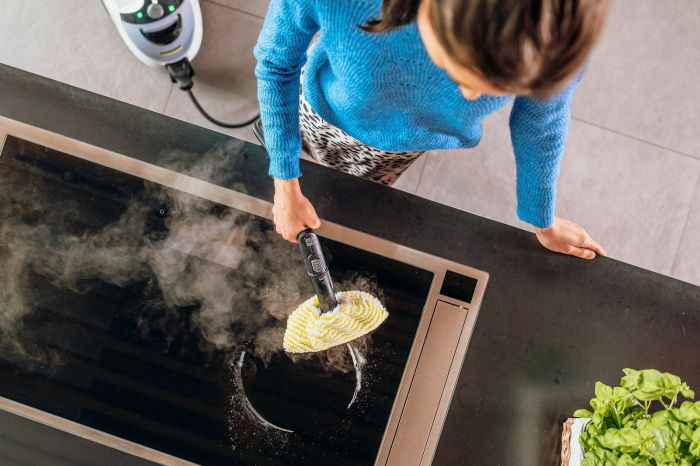 Пароочиститель Karcher SC 5 EasyFix Iron, 2250Вт, 1500мл, 4.2Бар, утюг+ швабра, белый