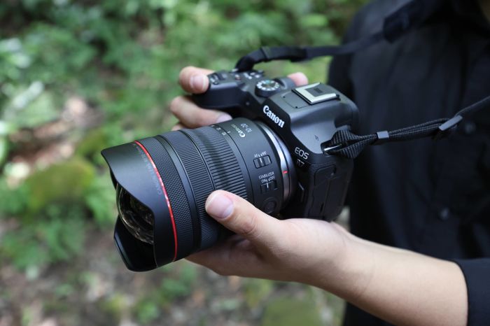 Объектив Canon RF 10-20mm f/4 L IS STM