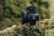 Объектив Canon RF 5.2mm f/2.8 Dual Fisheye