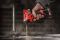 Набор из двух аккумуляторных инструментов Milwaukee M12 FPP2A2-402X шуруповерт-дрель M12 FPD2-0 вертолет M12 FID2-0 акб М12 2х4А·час ЗП C12C кейс