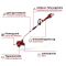 Триммер аккумуляторный Einhell GE-CT 36/30 Li E - Solo PXC 36В 30см 9000об/мин 3.1кг (без АКБ и ЗУ)