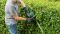 Кущоріз Bosch UniversalHedgeCut 60 480Вт 60см крок різу 30мм 3.7кг