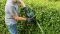 Кущоріз Bosch UniversalHedgeCut 50 480Вт 50см крок різу 26мм 3.67кг