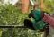 Кусторез аккумуляторный Bosch EasyHedgeCut 18-45 18В лезвие 45см шаг реза 15мм 3.02кг без АКБ и ЗП