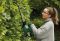 Кусторез аккумуляторный Bosch EasyHedgeCut EasyHedgeCut 18-45 18В акб 1х2А·час лезвие 45см шаг реза 15мм ЗП 3.7кг