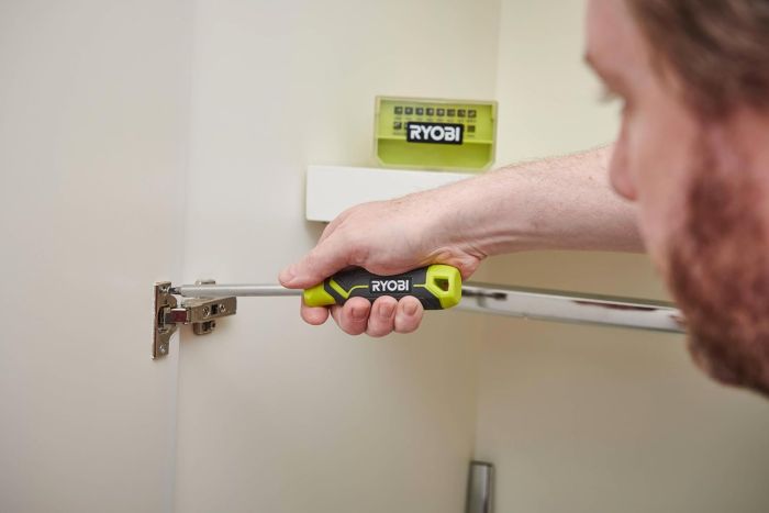 Отвертка Ryobi RHSDM1701, битодержатель 1/4", 100мм, 16 бит, SL,PH,PZ,Torx