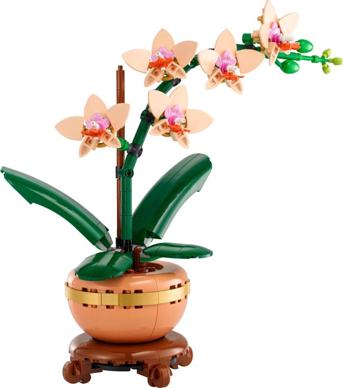 Конструктор LEGO Botanicals Мини орхидея