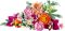 Конструктор LEGO Botanicals Милий рожевий букет квітів