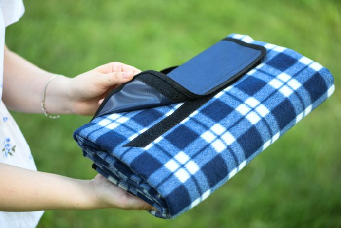 Плед Ardesto Picnic 130х170см, 100% поліестер, клітинка синій