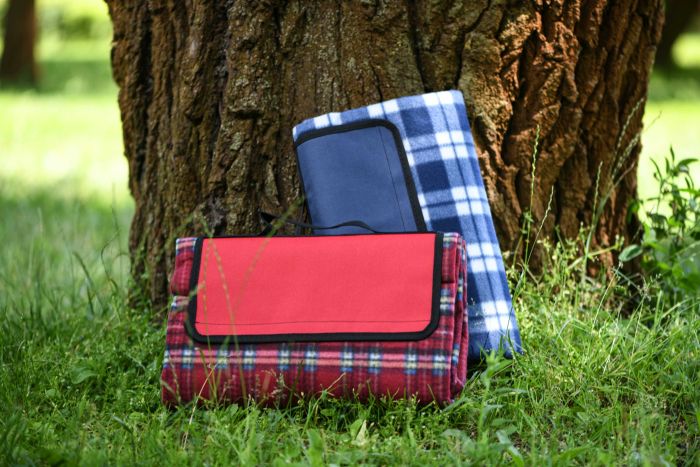 Плед Ardesto Picnic 130х170см, 100% поліестер, клітинка синій