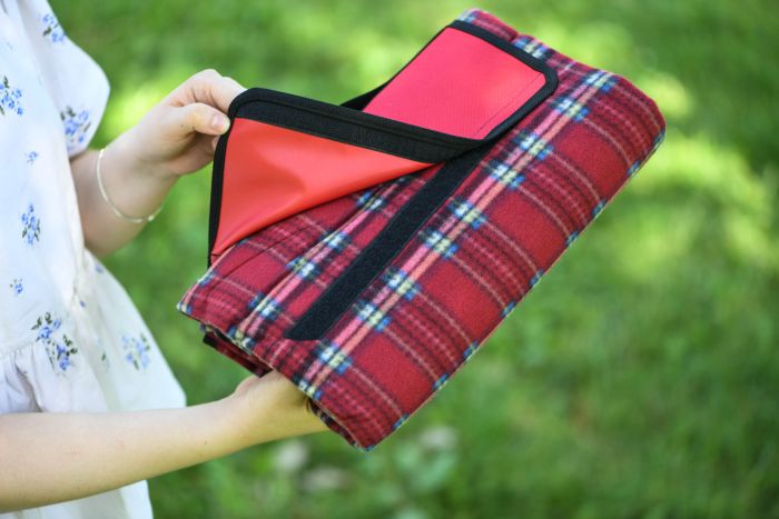 Плед Ardesto Picnic 130х170см, 100% полиэстер, клетка красный