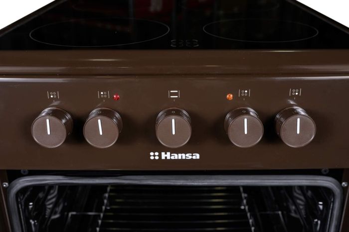 Плита Hansa електрична склокерамічна, 50х60см, 68л, коричневий