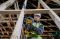 Пила шабельна акумуляторна DeWalt 18В XR Li-lon безщіткова 0-2800ход/хв 16мм кейс 1.43кг без АКБ та ЗП