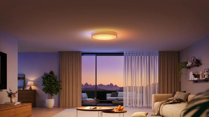 Потолочний світильник Govee 38cm Smart Ceiling Light Pro, RGBICWW, WI-FI/Bluetooth, білий