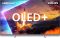 Телевизор 55" Philips OLED+ 4K 144Hz Smart Google TV Black Ambilight Bowers & Wilkins sound