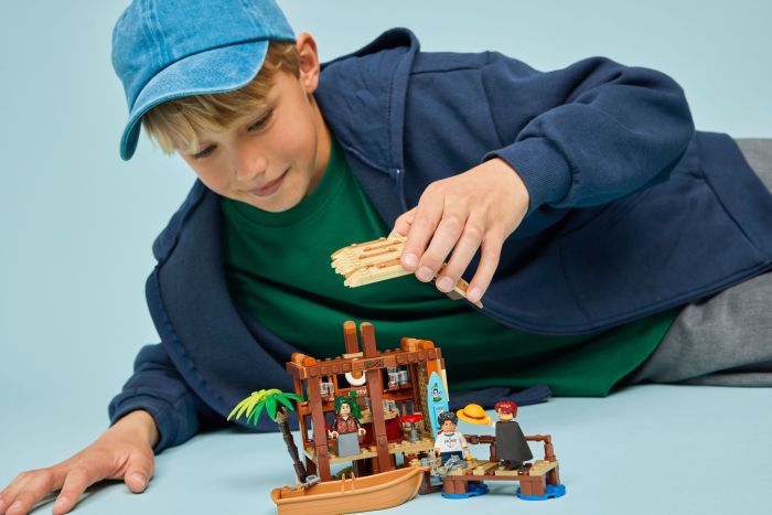 Конструктор LEGO ONE PIECE Домик в поселке Ветряков