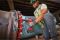 Гайковерт ударний акумуляторний Milwaukee M18 FHIW2F12-0X 18В 1491Нм 0-2000об/хв 1/2" кейс 3.4кг без АКБ та ЗП