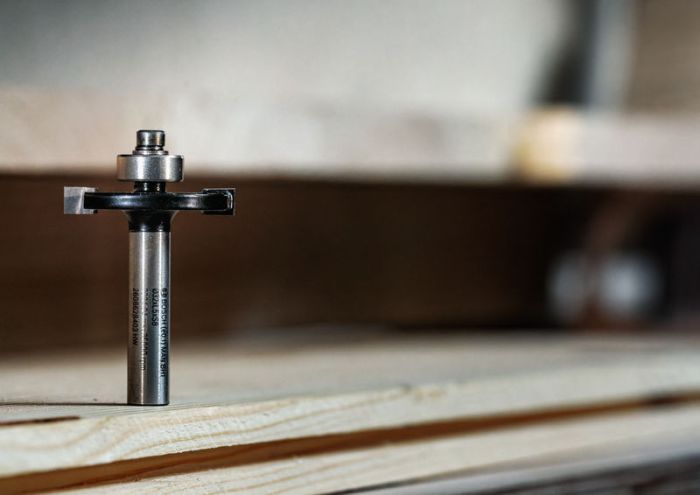 Фреза дисковая Bosch Professional S8 D32 L6